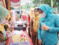 Ketua TP PKK Provinsi Lampung Lantik Pengurus PMI Tanggamus