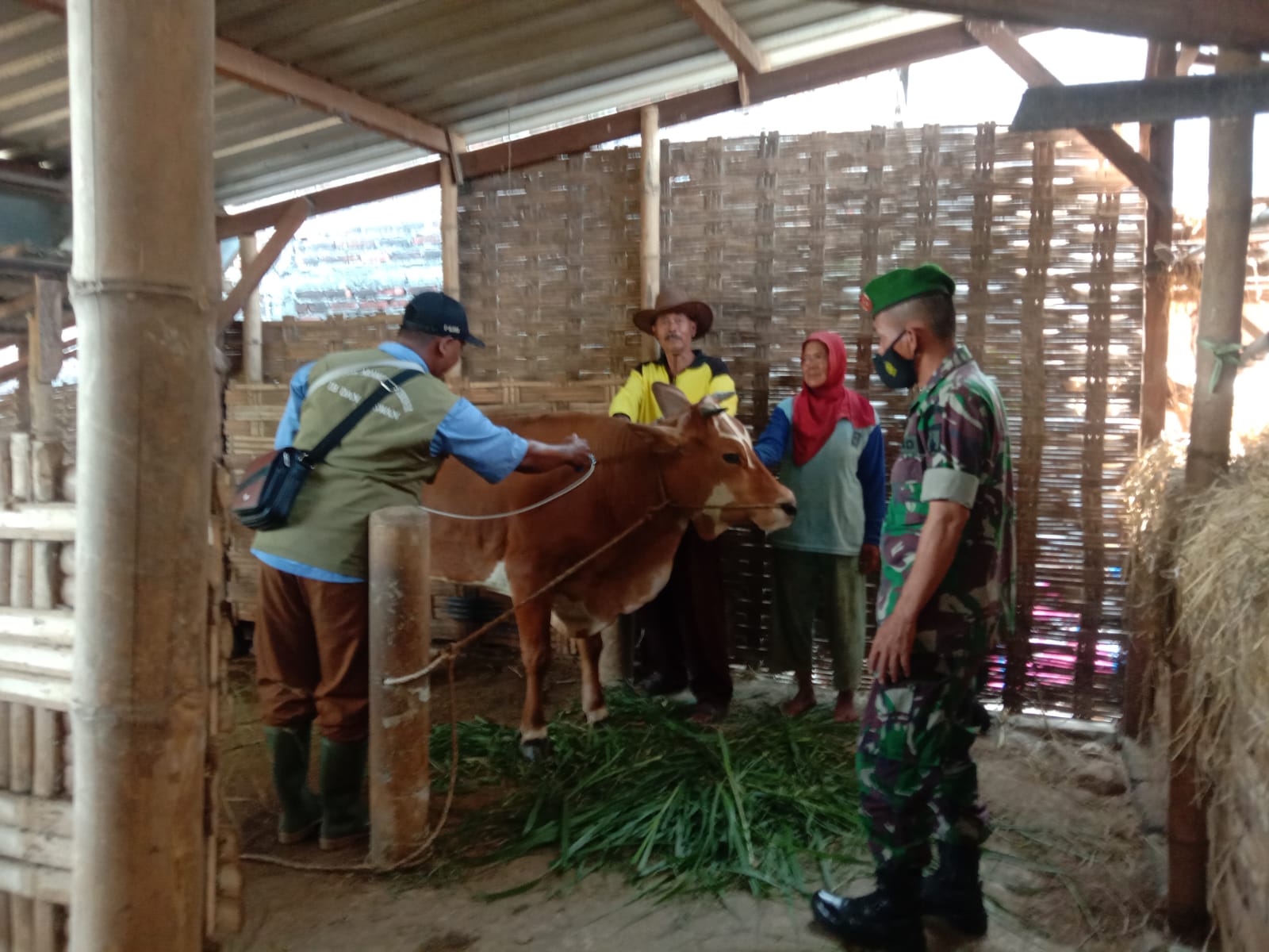 Koramil Dawarblandong Bareng BPP Kecamatan Vaksinasi Hewan Ternak Di Empat Dusun