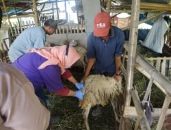 Polresta Sidoarjo Gencar Vaksinasi Hewan Ternak untuk Antisipasi Penyebaran PMK