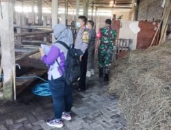 Polresta Sidoarjo Dampingi Tim Vaksinator Cegah Penyebaran Wabah PMK