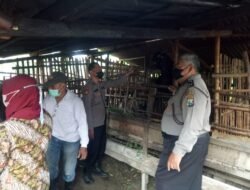 Polresta Sidoarjo dampingi Pelaksanaan Vaksinasi Hewan Ternak