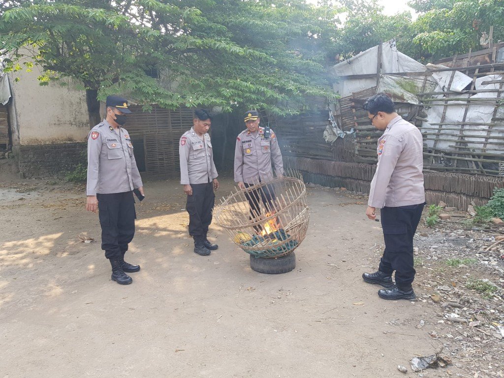 Arena Sabung Ayam Trowulan Dibongkar