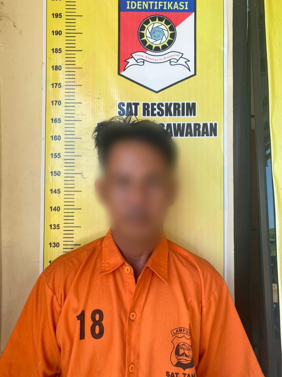 Setubuhi Anak Kandung, Polres Pesawaran Ringkus Ayah Kandungnya