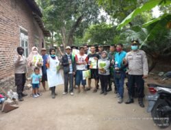 Ratusan Hewan Ternak Milik Peternak Porong Divaksin Kedua Antisipasi PMK