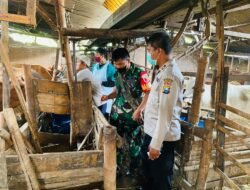 Ratusan Hewan Ternak Milik Peternak Porong Divaksin Kedua Antisipasi PMK