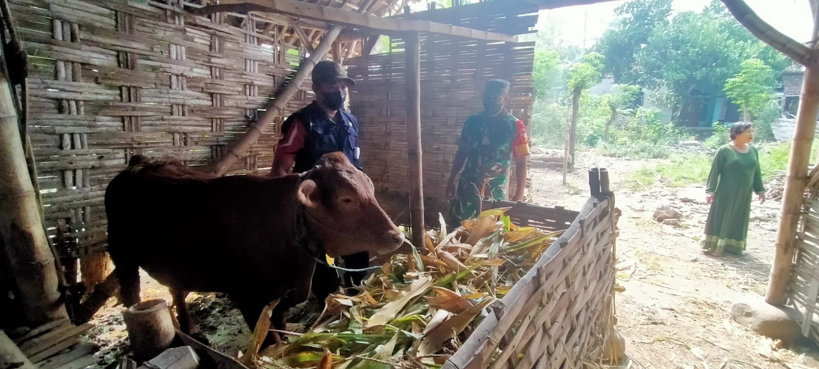 Kendalikan PMK, Koramil 0815/14 Dlanggu Bareng Distan Maksimalkan Vaksinasi