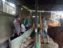 Polresta Sidoarjo Dukung tim Vaksinator Cegah Wabah PMK