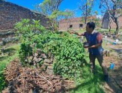 Makam Sarip Tambakoso Akhirya Ditemukan, Letaknya Tidak Jauh Dari Alun-Alun Sidoarjo
