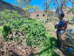 Makam Sarip Tambakoso Akhirya Ditemukan, Letaknya Tidak Jauh Dari Alun-Alun Sidoarjo