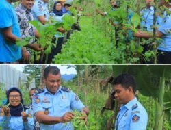 Lapas Kelas lll Labuha Panen Sayur-Sayuran Dan Beragam Kegiatan Dilaksanakan Bersama Warga Binaan