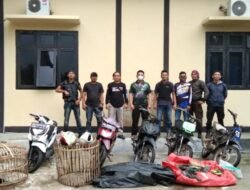 Polsek Wonosobo Razia Gelanggang Sabung Ayam