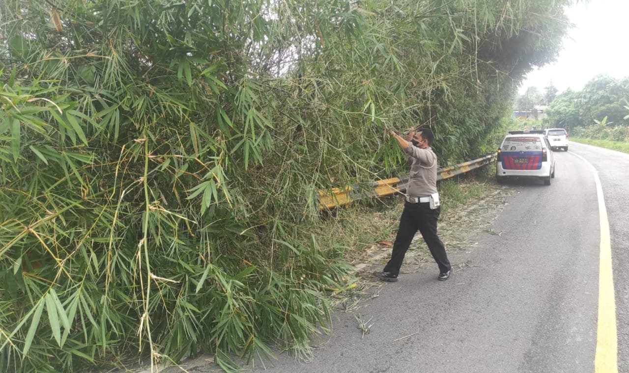 Cegah Kecelakaan, Anggota Sat Lantas Polres Tanggamus Bersihkan Pohon Bambu Tumbang