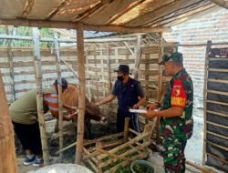 Koramil 0815/14 Dlanggu Bareng Satgas Tuntaskan PMK