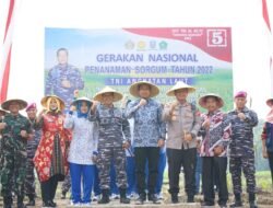 Wujudkan Ketahanan Pangan Nasional 2022, Bupati Sidoarjo Bersama Pasmar 2 Gedangan Tanam Pohon Sorgum dan Bibit Jagung Hibrida