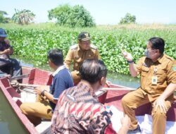 Dipenuhi Tanaman Enceng Gondok, Wabup Subandi Sidak Sungai Tambakrejo Waru