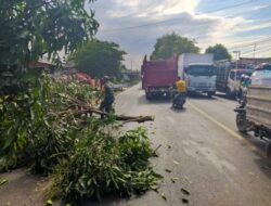 Personel Babinsa Koramil 0815/10 Bangsal Bersama Warga Sterilkan Pohon Tumbang