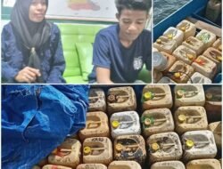 Pelaku Klarifikasi Penimbunan BBM Jenis Solar Terbesar DS Kusubibi Bukan Milik TNI