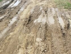 Masyarakat Berharap PT Bumi Flora dan PT Dwi Kencana Jangan Tutup Mata