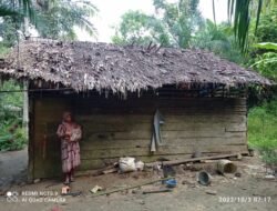Dilema Aceh Timur, Empat Orang Anak Dibawah Umur Tinggal Di Gubuk Reyot