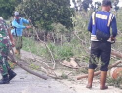 Pohon Tumbang, Babinsa Koramil Dawarblandong Bareng Tim PUPR – Relawan Sterilkan Jalan Raya
