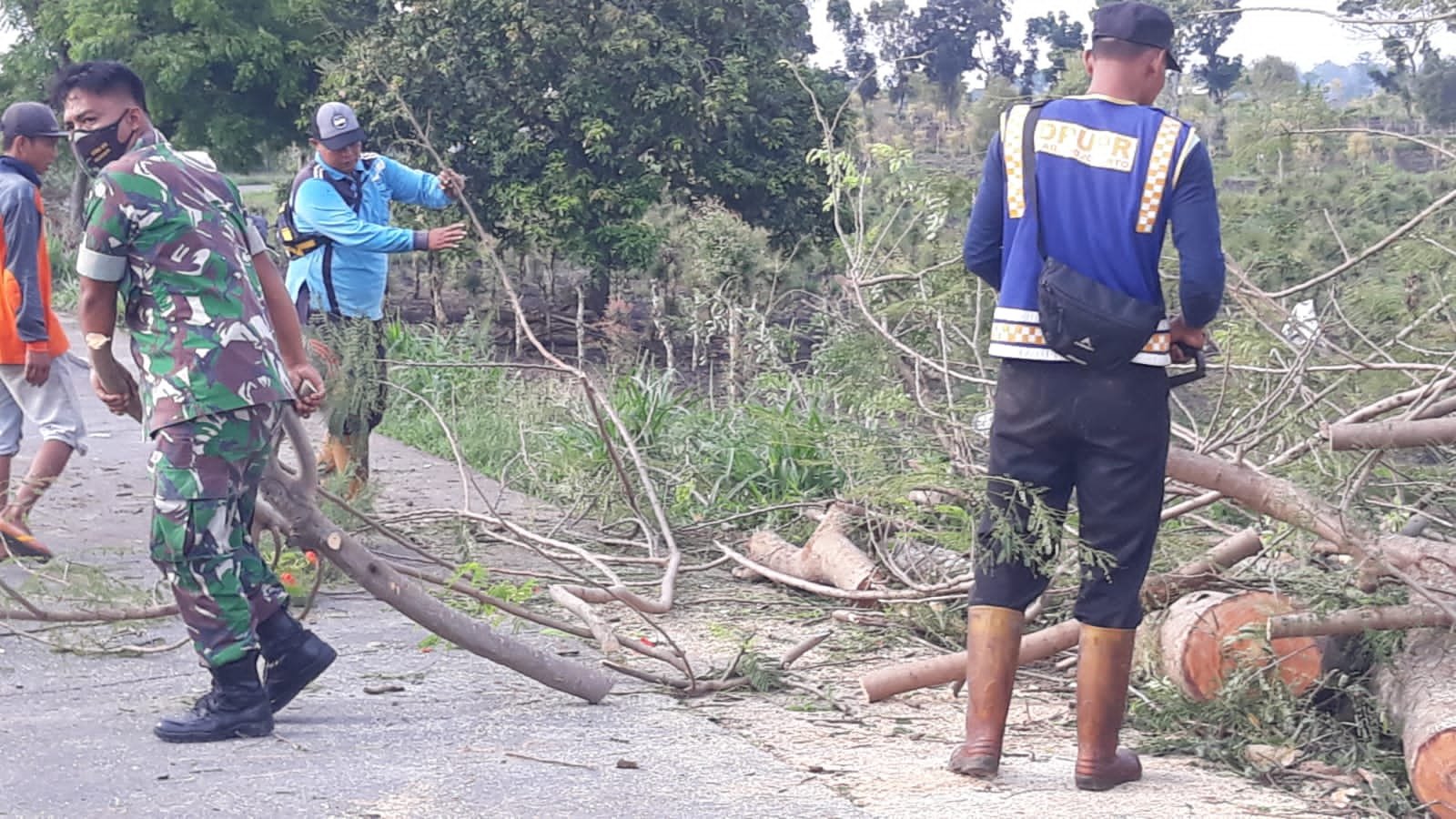 Pohon Tumbang, Babinsa Koramil Dawarblandong Bareng Tim PUPR - Relawan Sterilkan Jalan Raya