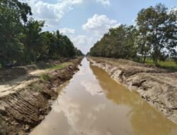 Peningkatan Jaringan Sekunder, BBWS  Bantu Petani Muara Telang Tingkatkan Hasil Produksi Pangan
