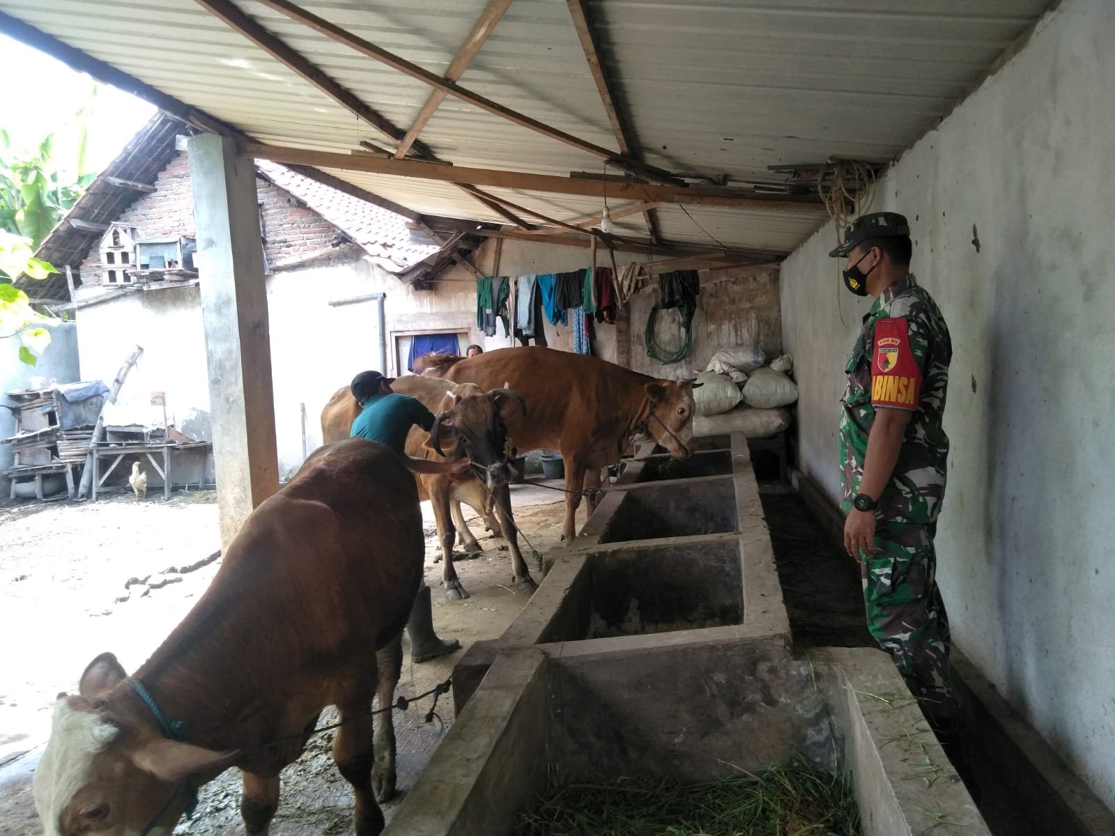 Kolaborasi Babinsa Koramil 0815/04 Puri Bareng Distan Cegah PMK