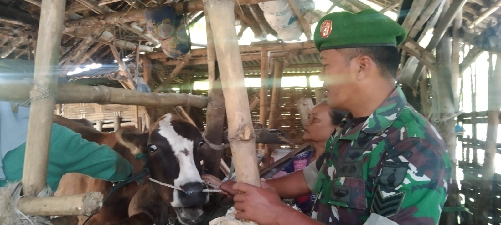 Terus Aktif, Babinsa Koramil Kemlagi Pantau PMK Di Wilayah Binaan