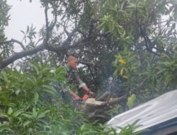 Hujan Disertai Angin Kencang, Koramil  Trowulan Bareng Polsek – BPBD – PMI Lakukan Ini