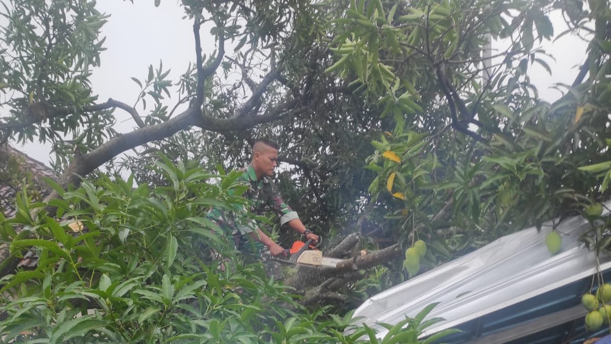 Hujan Disertai Angin Kencang, Koramil Trowulan Bareng Polsek - BPBD - PMI Lakukan Ini