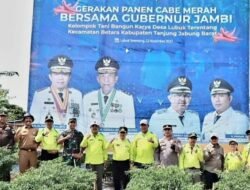 Bupati Tanjabbar Dampingi Gubernur   Panen Cabai Merah Kelompok Tani Bangun Karya Desa Lubuk Terentang