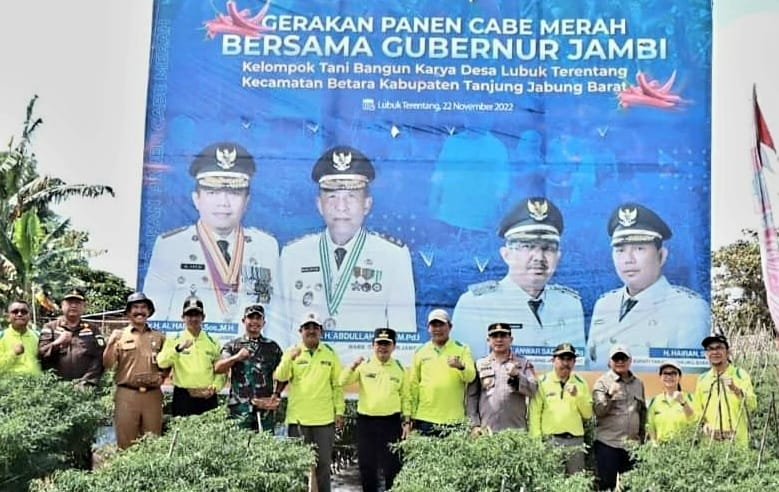 Bupati Tanjabbar Dampingi Gubernur Panen Cabai Merah Kelompok Tani Bangun Karya Desa Lubuk Terentang