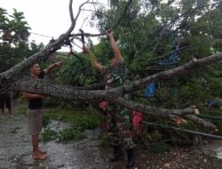 Piket Koramil Kemlagi Bareng Perangkat & Warga Bersihkan Pohon Tumbang