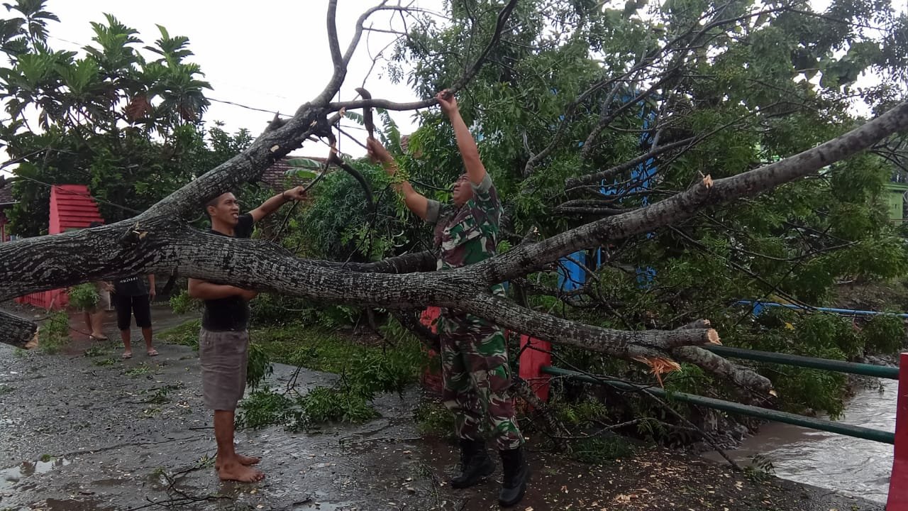 Piket Koramil Kemlagi Bareng Perangkat & Warga Bersihkan Pohon Tumbang