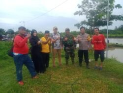 Ratusan Warga Desa Dinoyo Berebut Ikan Gratis