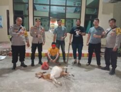 Polsek Peureulak Barat Polres Aceh Timur Berhasil Amankan Pencuri Kambing