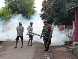 Babinsa Sumbersono Lakukan Fogging Bersama Puskesmas Dlanggu