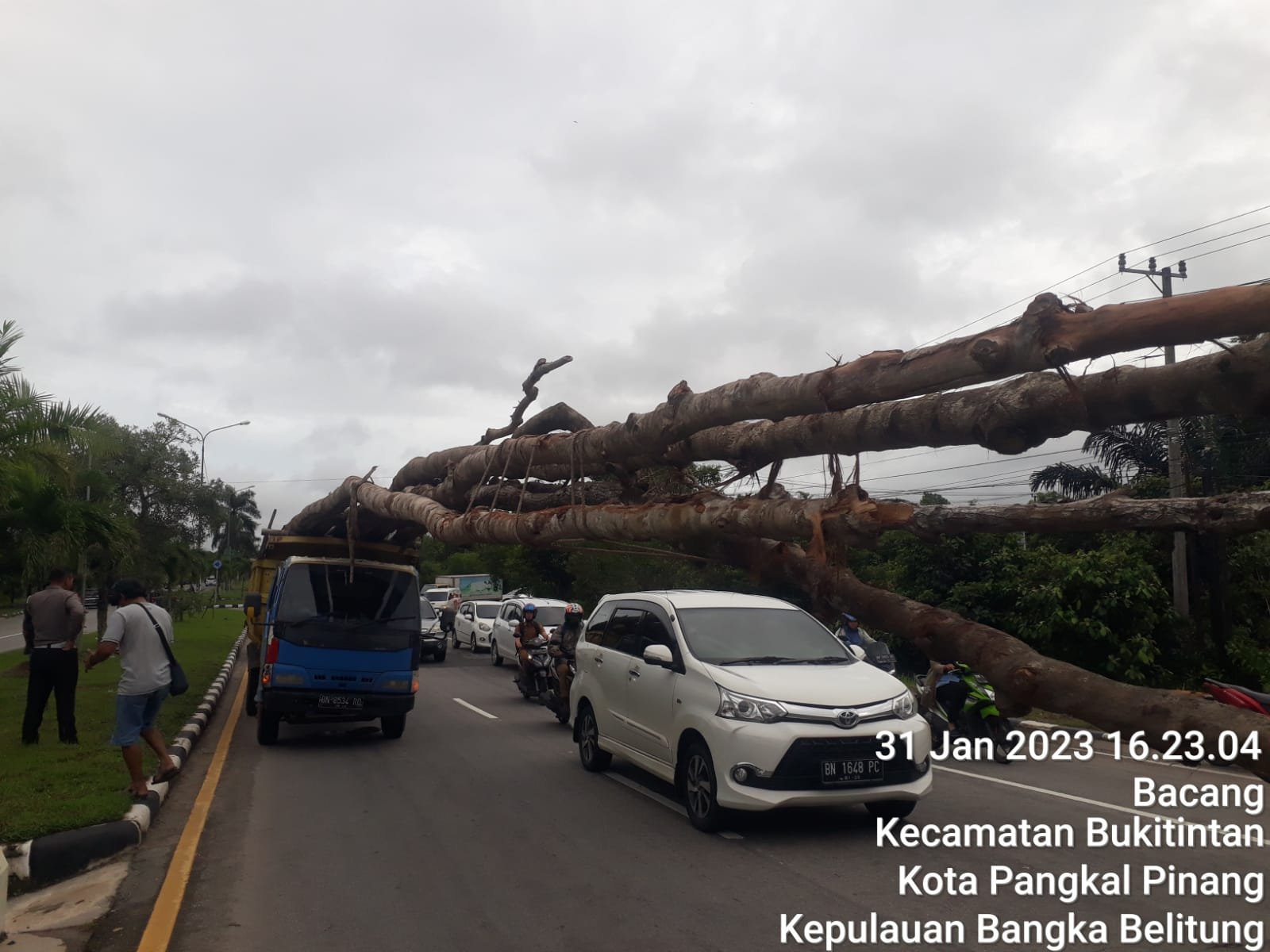 Mobil Pengangkut Kayu di Pangkal Pinang Bahayakan Pengguna Jalan