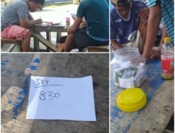 Pelaku Utama Judi Online di Halsel Diduga Milik Bos China, Anak SD-SMP Dilibatkan