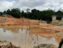 Tambang Timah yang Pernah Dihentikan Polres Bangka Kini Beroperasi Kembali