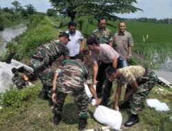 Koramil Bangsal Kerahkan Babinsa Karbak Perbaiki Tanggul Sungai