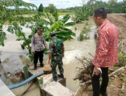 Waspada Banjir, Koramil Dawarblandong Bareng Forkopimcam Pantau Debit Air Kali Lamong