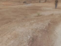 Kawasan Hutan Produksi Bukit Betung Sambung Giri Kembali Dihajar Penambang Timah Ilegal