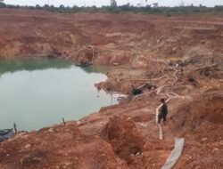 Lahan Eks Kobatin Sekarang Jadi Tempat Penambang Timah Ilegal