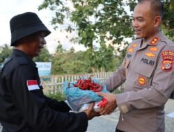 Kapolres Aceh Timur Apresiasi Kapolsek Darul Ihsan Sulap Lahan Kosong Jadi Kebun Cabai