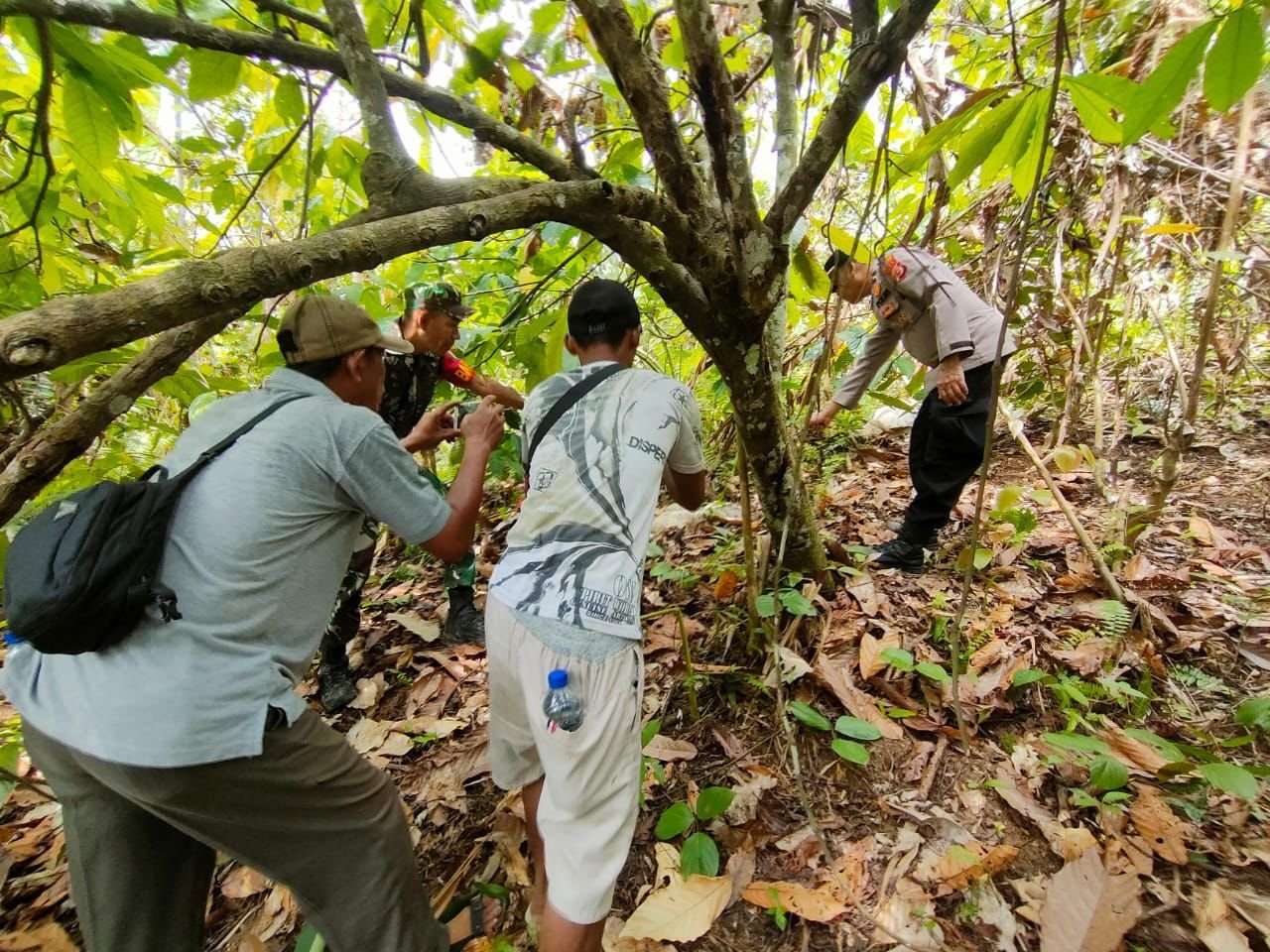 Polres Aceh Timur Selidiki Kematian Anak Harimau di Peunaron
