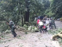 Kurangi Resiko Bencana Koramil 0815-16/Pacet Bareng Stakeholder Lakukan Mitigasi