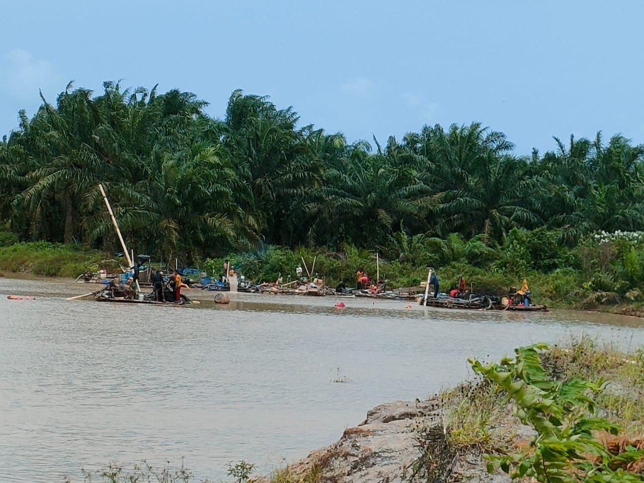 Penambang Timah Yang Diduga Masuk Kawasan Hutan produksi Pemali