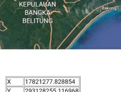 Diduga Kawasan Hutan Lindung di Hajar Penambang Timah Ilegal Di Desa Perlang.