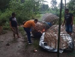 Polres Jombang Bongkar Perjudian Sabung Ayam, Dua Pelaku Ditangkap